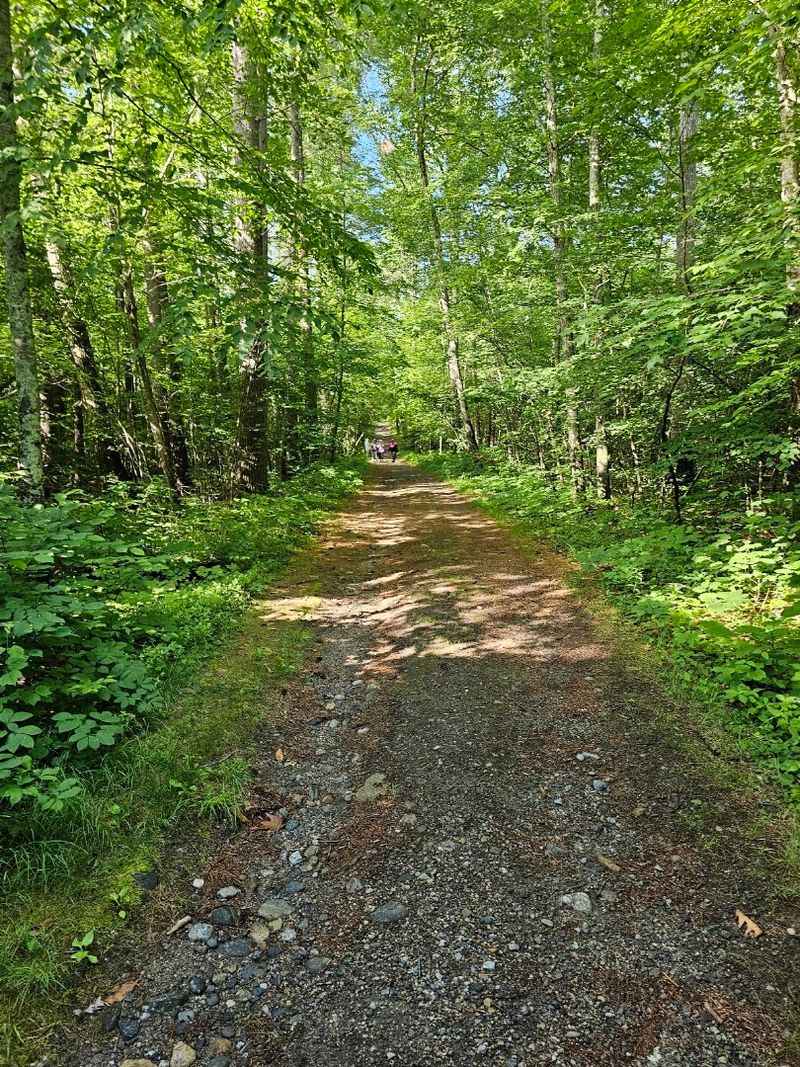 The Peaceful Forests of Sutton, Massachusetts
