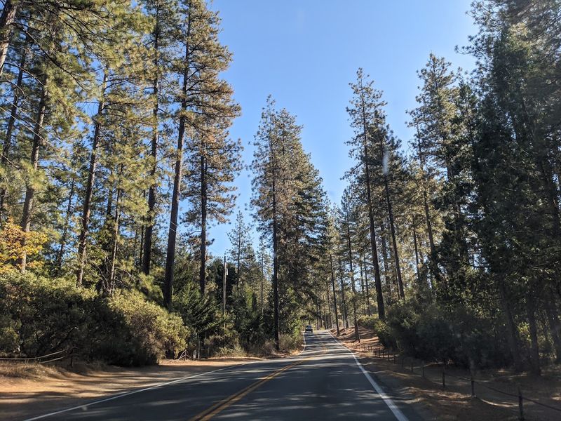 The Peaceful Hiking Trails