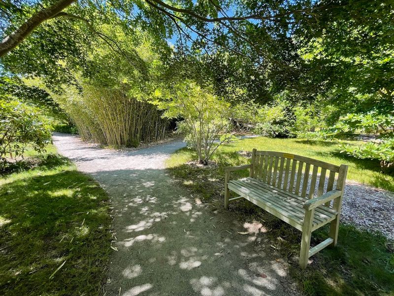 The Perfect Spot for Quiet Reflection and Meditation