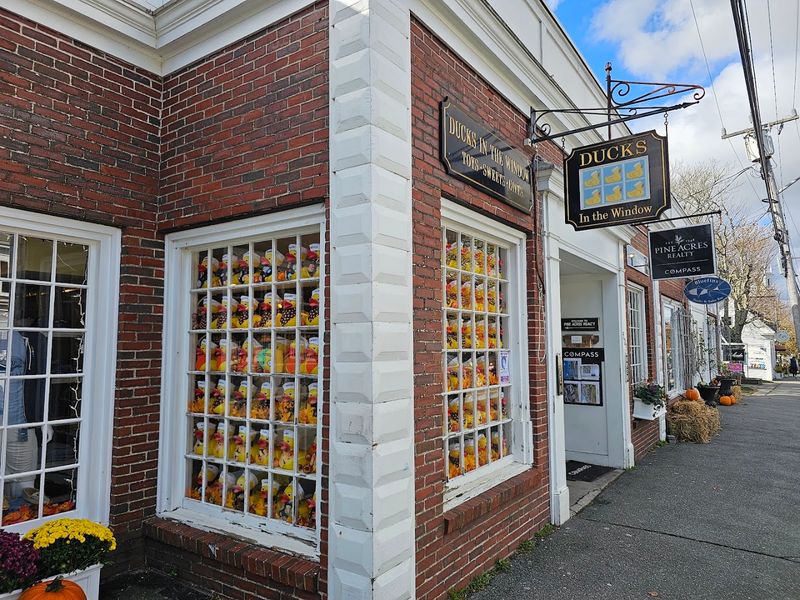 The Perfect Stop on a Cape Cod Vacation