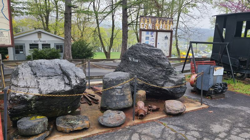 The Petrified Tree and Giant Coal Specimen