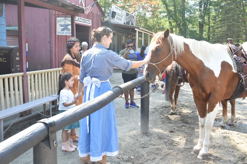 The Petting Zoo and Animal Area