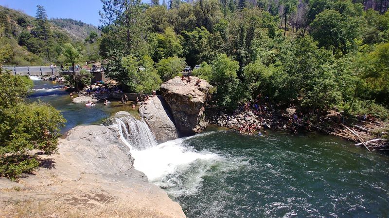 The Picnic Area and Surrounding Nature Worth Exploring