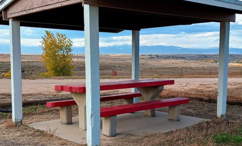The Picnic Area and What to Expect The Picnic Area and What to Expect