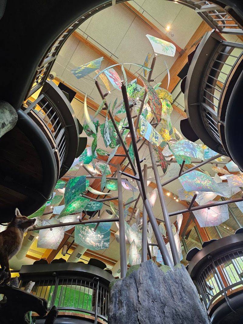 The Planetarium Experience