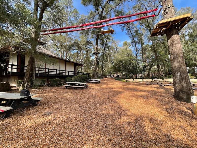 The Playground
