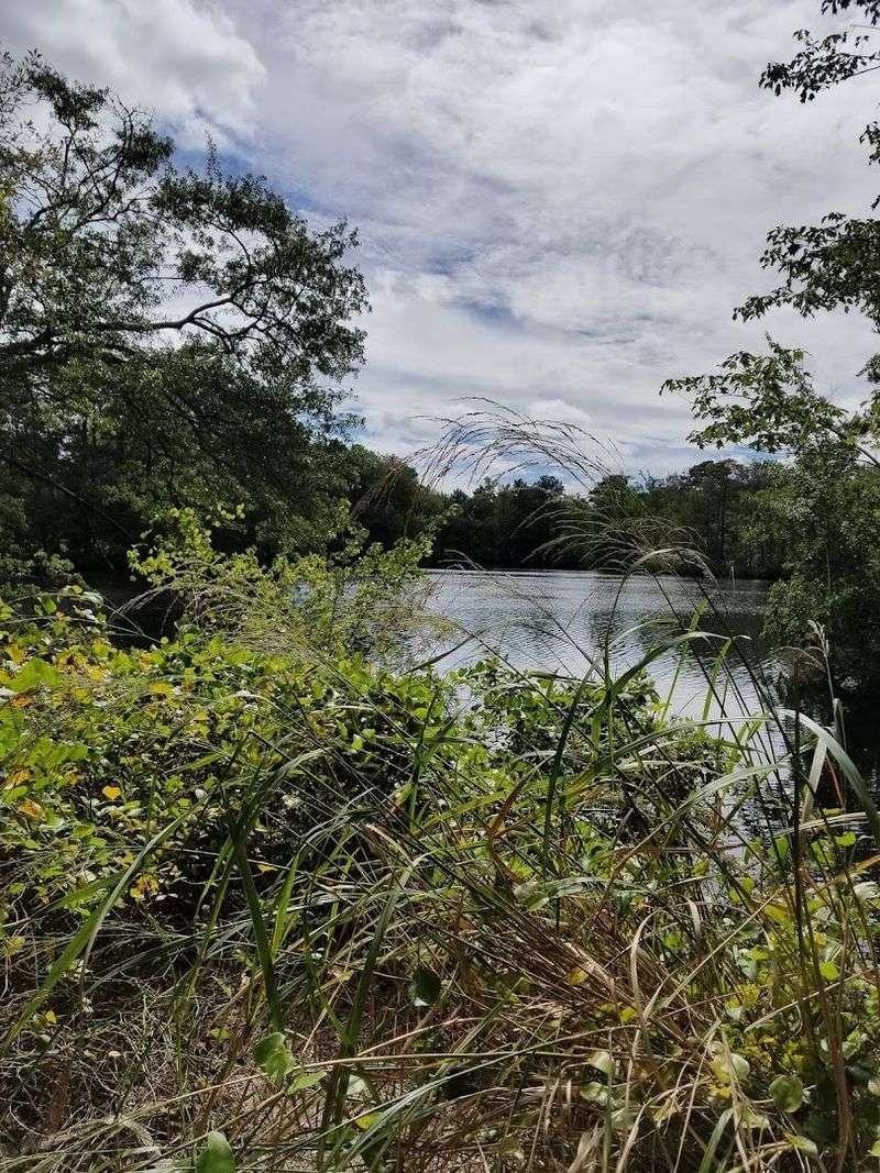 The Pocomoke River: A Paddler's Dream