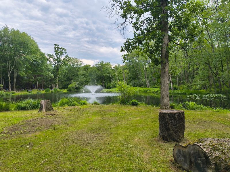 The Private Pond Perfect For Fishing And Boating The Private Pond Perfect For Fishing And Boating