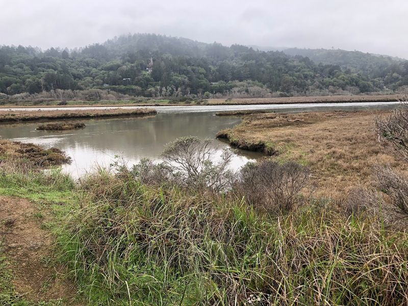 The Quiet Magic of Abbotts Lagoon