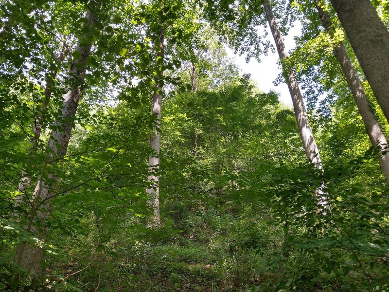 The Quiet Solitude That Makes This Place Special