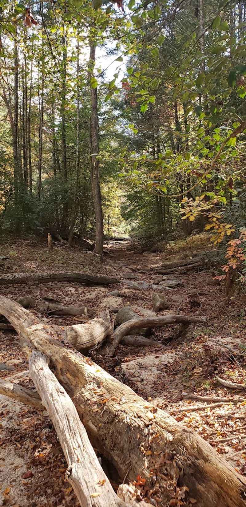 The Return Hike: Uphill All the Way Back