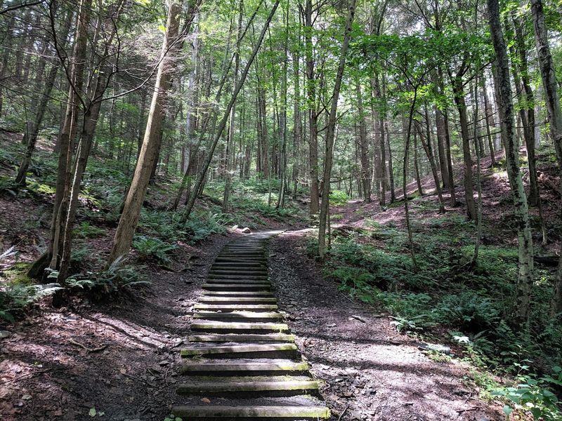 The Rim Trail and Its Steep, Rewarding Climb