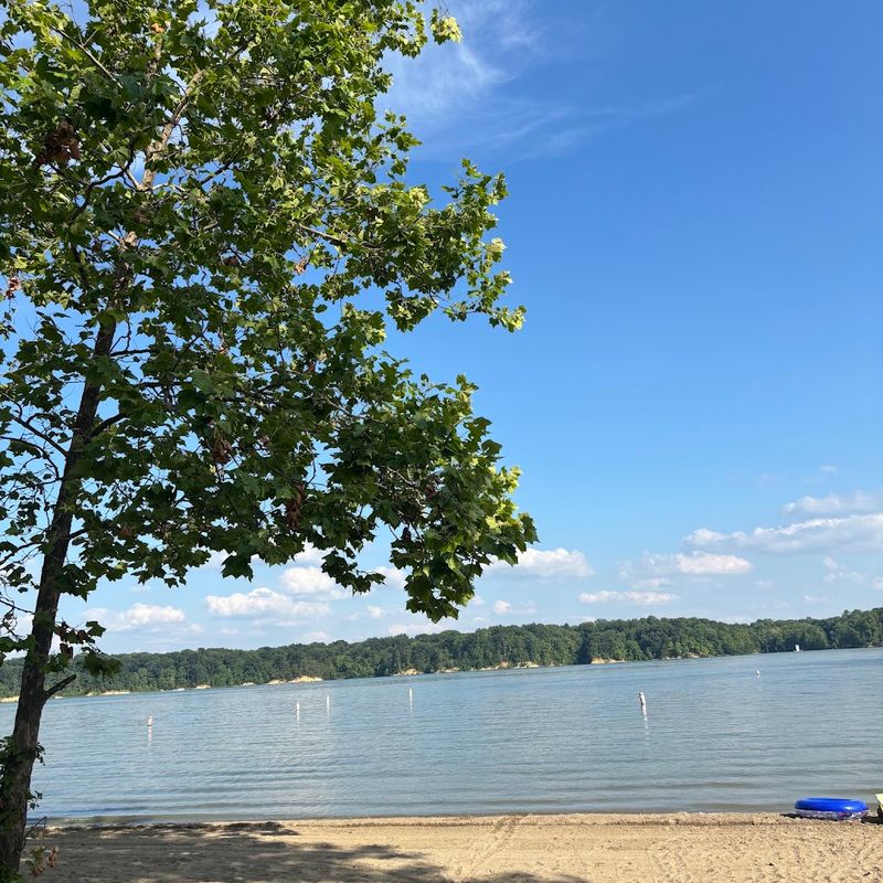 The Sandy Beach Area Perfect for Swimming, Picnicking, and Catching Sunsets