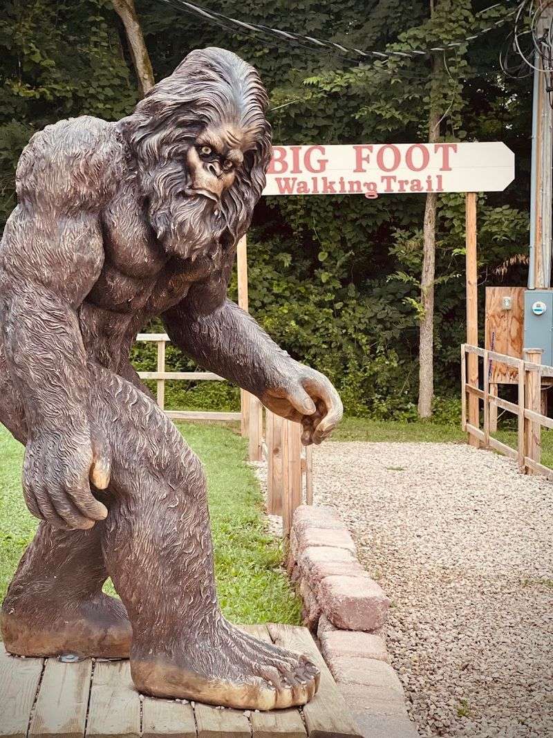 The Sasquatch Nature Trail