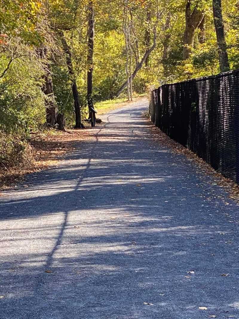 The Scenic Beauty Surrounding the Trail The Scenic Beauty Surrounding the Trail