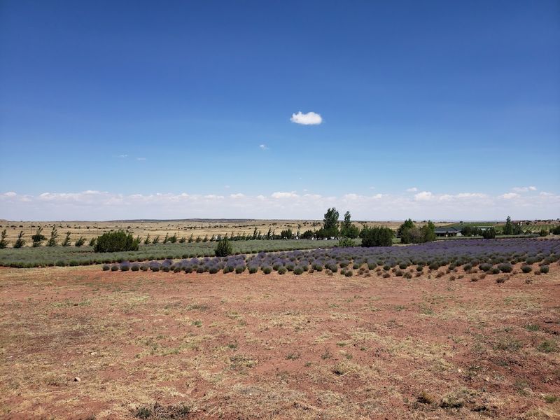 The Scenic Drive Through Northeastern Arizona to Get There The Scenic Drive Through Northeastern Arizona to Get There