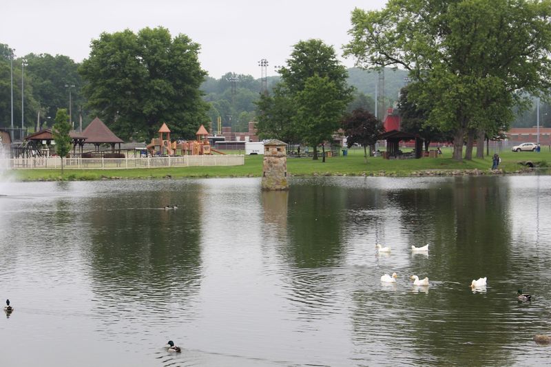 The Scenic Pond With Ducks and a Castle Tower