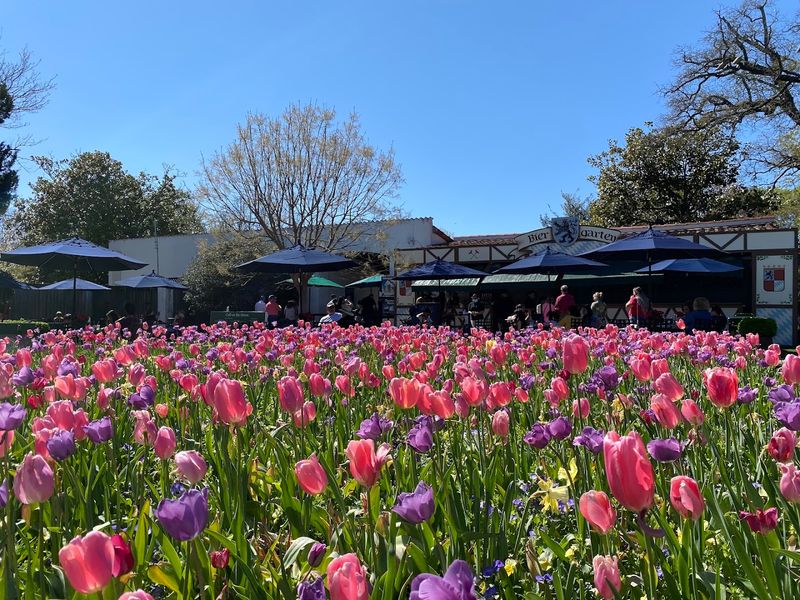 The Seasonal Flower Displays That Change Everything The Seasonal Flower Displays That Change Everything