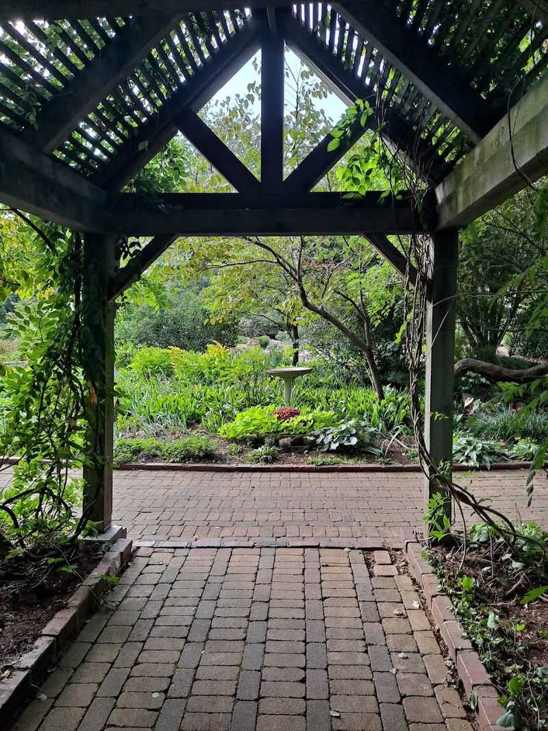 The Secret Garden Feeling
