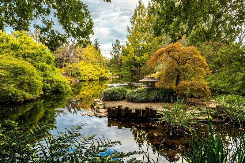The Serene Japanese Garden