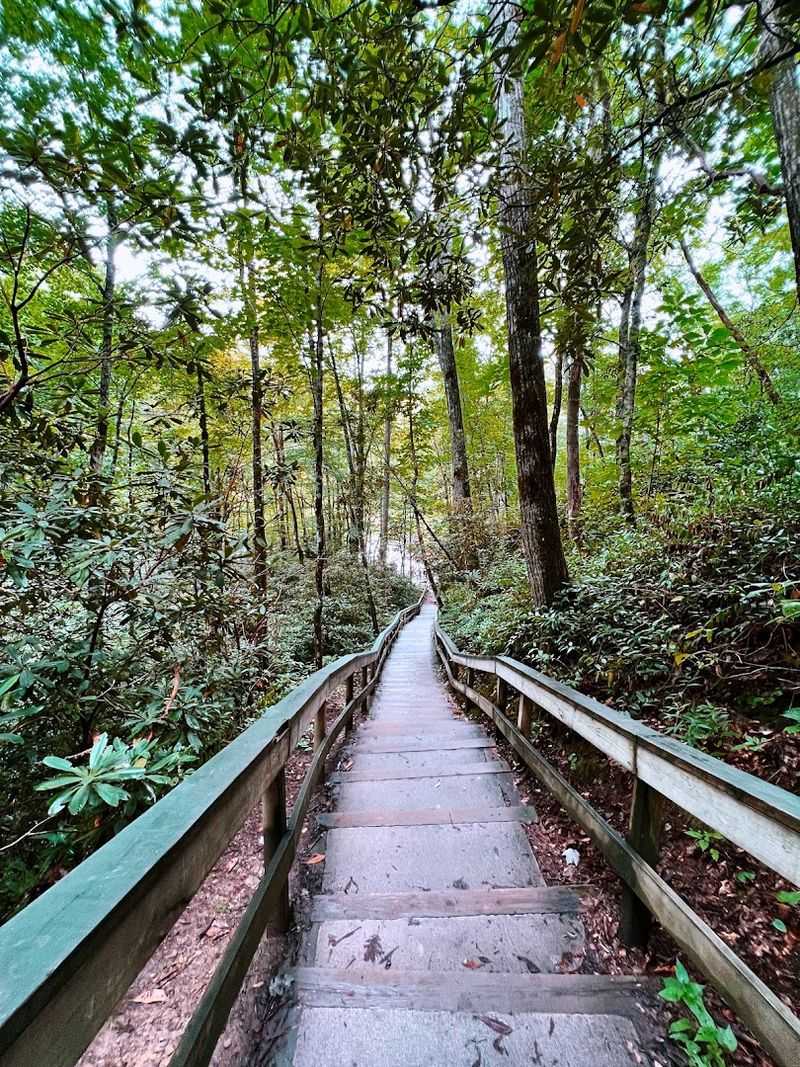 The Short But Rewarding 0.4-Mile Trail