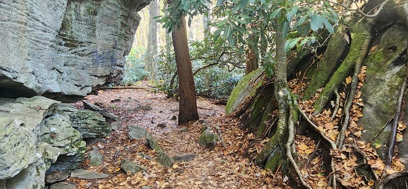 The Short But Rewarding Walk to the Boulders