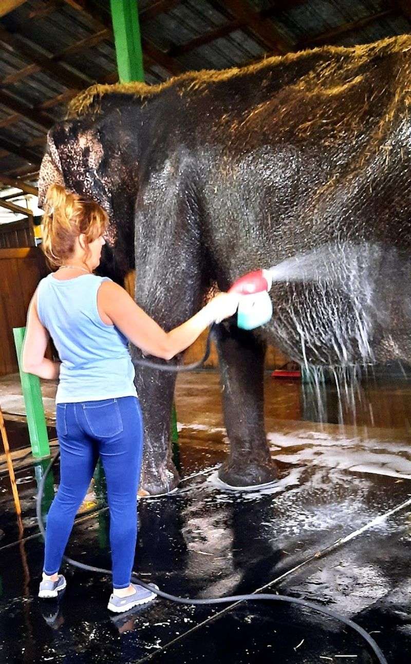 The Spa Experience: A Truly Hands-On Adventure