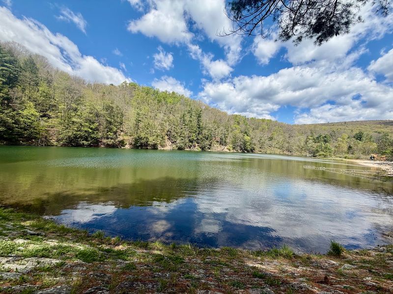 The Spring-Fed Swimming Lake