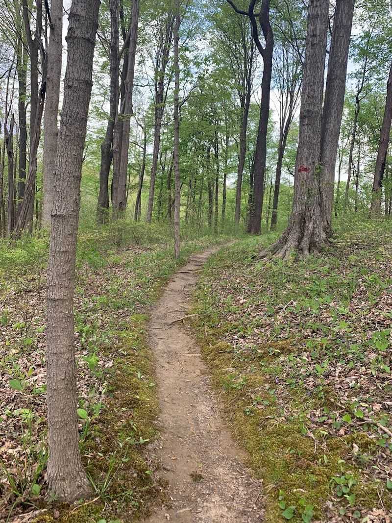 The Steep But Rewarding Hike to the Top