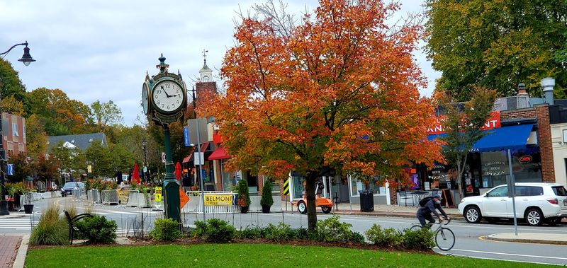 The Storybook Streets of Belmont Center