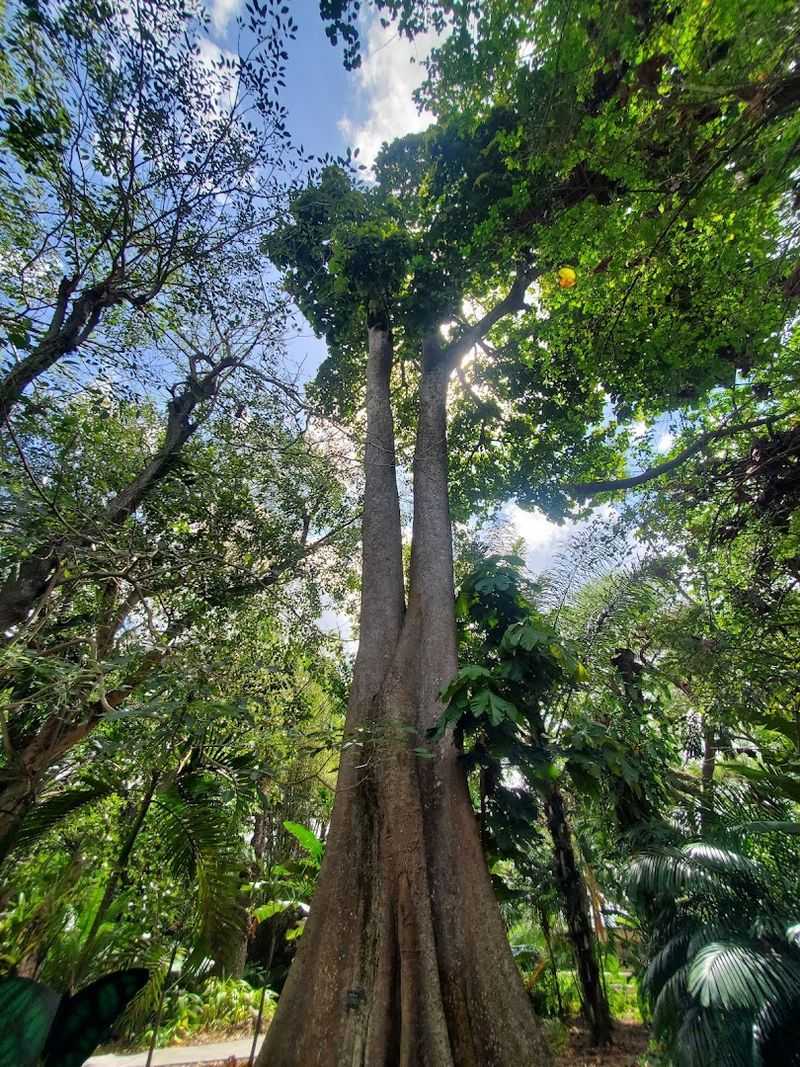 The Stunning Botanical Gardens