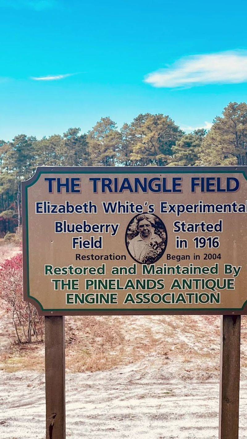 The Surprising Birthplace of the Commercial Blueberry The Surprising Birthplace of the Commercial Blueberry
