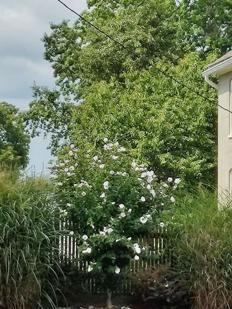 The Surrounding Countryside – Rolling Beauty in Every Direction The Surrounding Countryside – Rolling Beauty in Every Direction