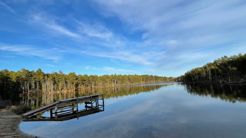 The Swamp-Like Atmosphere That Feels Nothing Like New Jersey