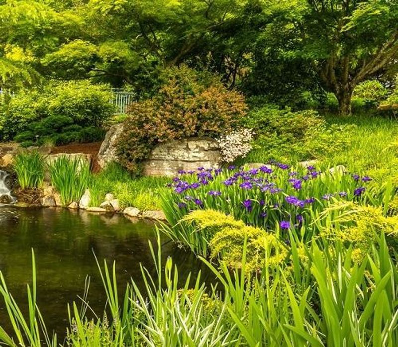 The Tea Garden Restaurant Experience
