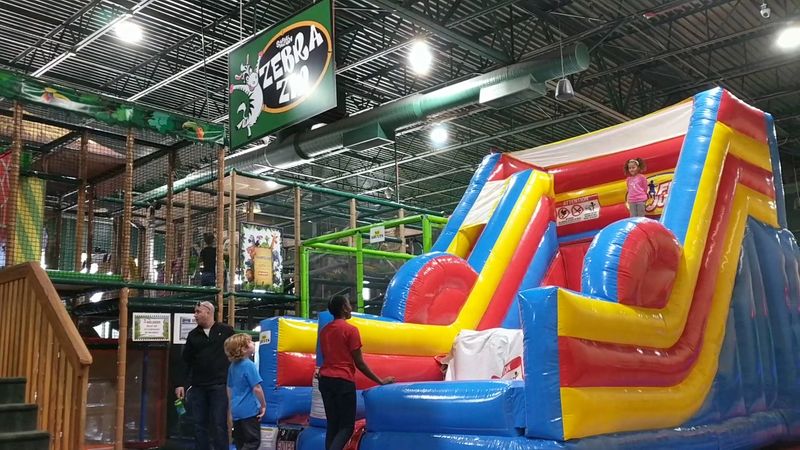 The Thrilling Zip Line