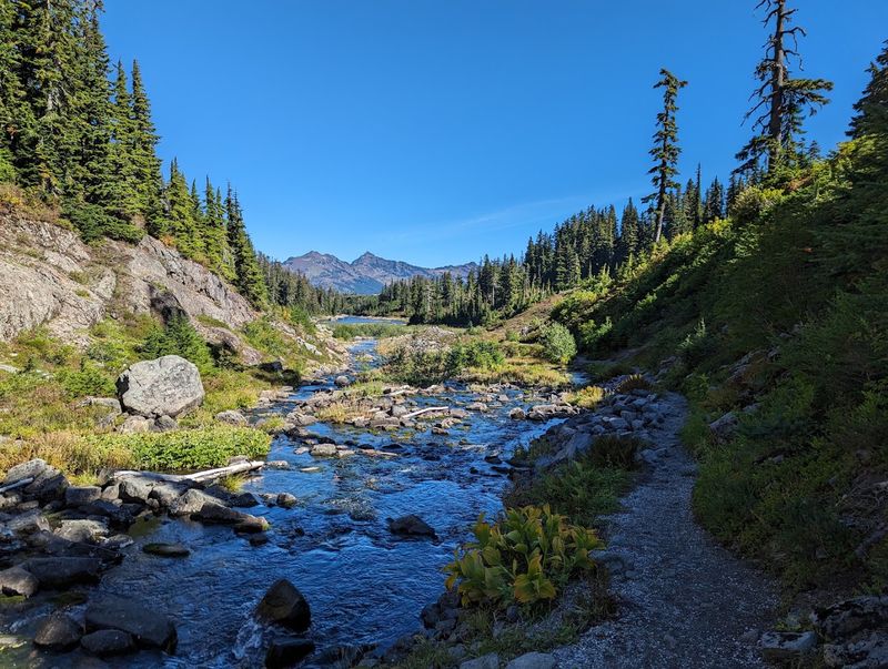 The Trail Overview: What Makes Bagley Creek Loop Special