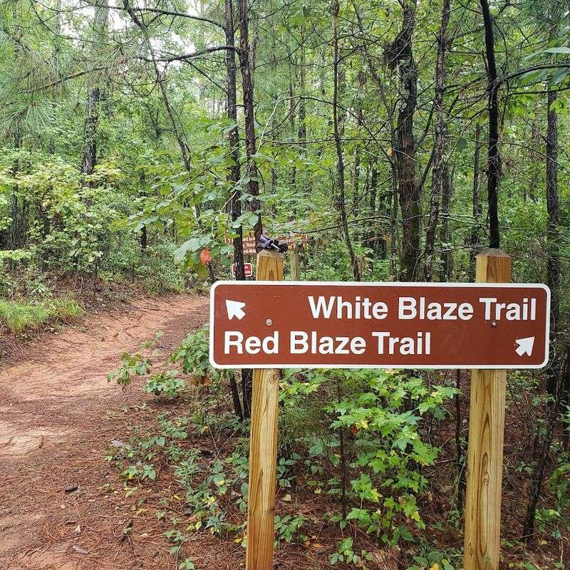 The Trail System: Options for Every Fitness Level