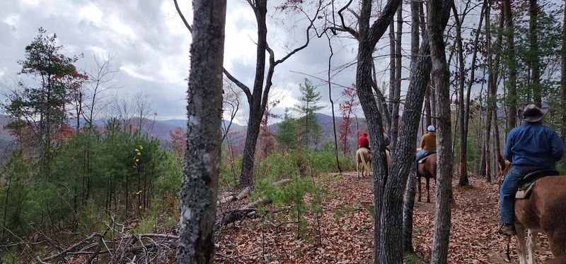The Trail That Winds Through the Blue Ridge Mountains