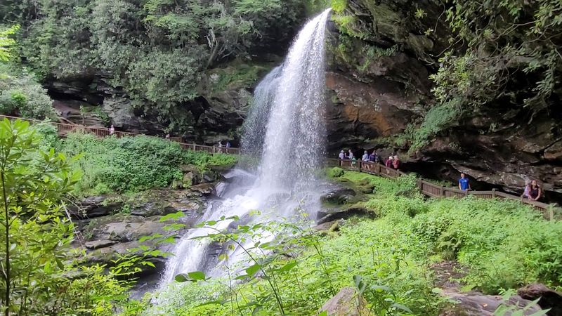 The Trail — Short, Sweet, and Totally Worth It