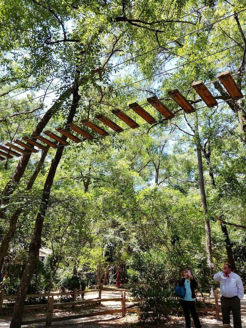 The Tree-to-Tree Zipline Adventure