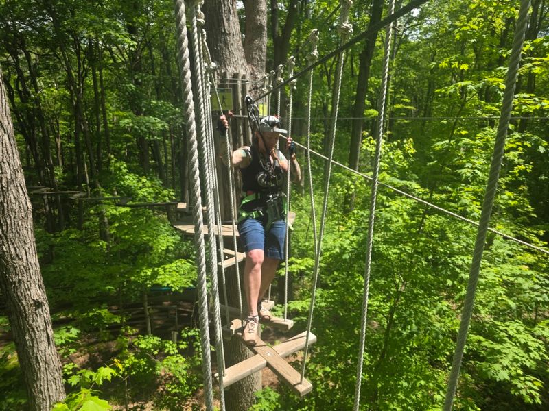 The Treetop Adventure Course That Changes Everything The Treetop Adventure Course That Changes Everything