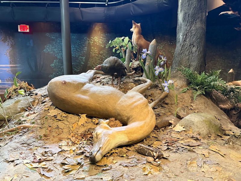 The Two-Floor Indoor Nature Exhibits