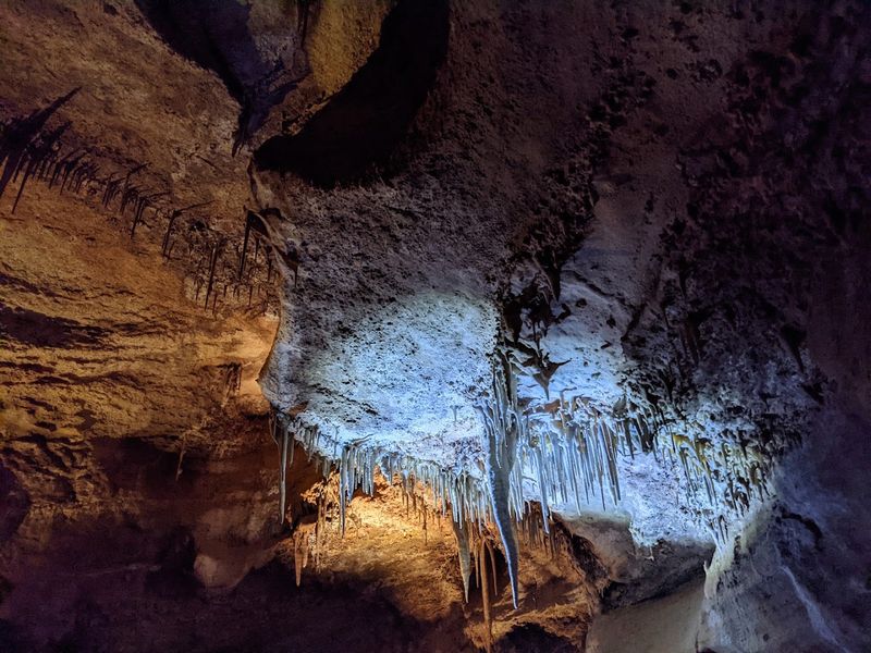 The UV Tour Transforms the Cave Into Something Truly Magical