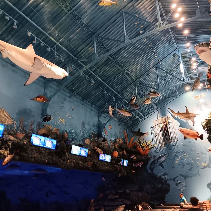 The Underwater Atmosphere That Stops You In Your Tracks The Underwater Atmosphere That Stops You In Your Tracks