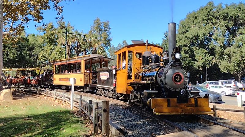The Unforgettable Train Ride Experience The Unforgettable Train Ride Experience