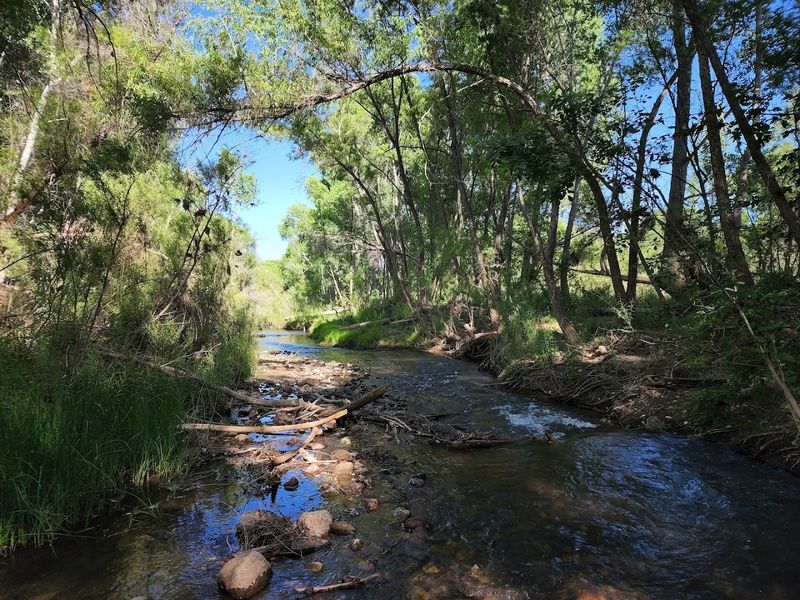 The Verde River Corridor The Verde River Corridor