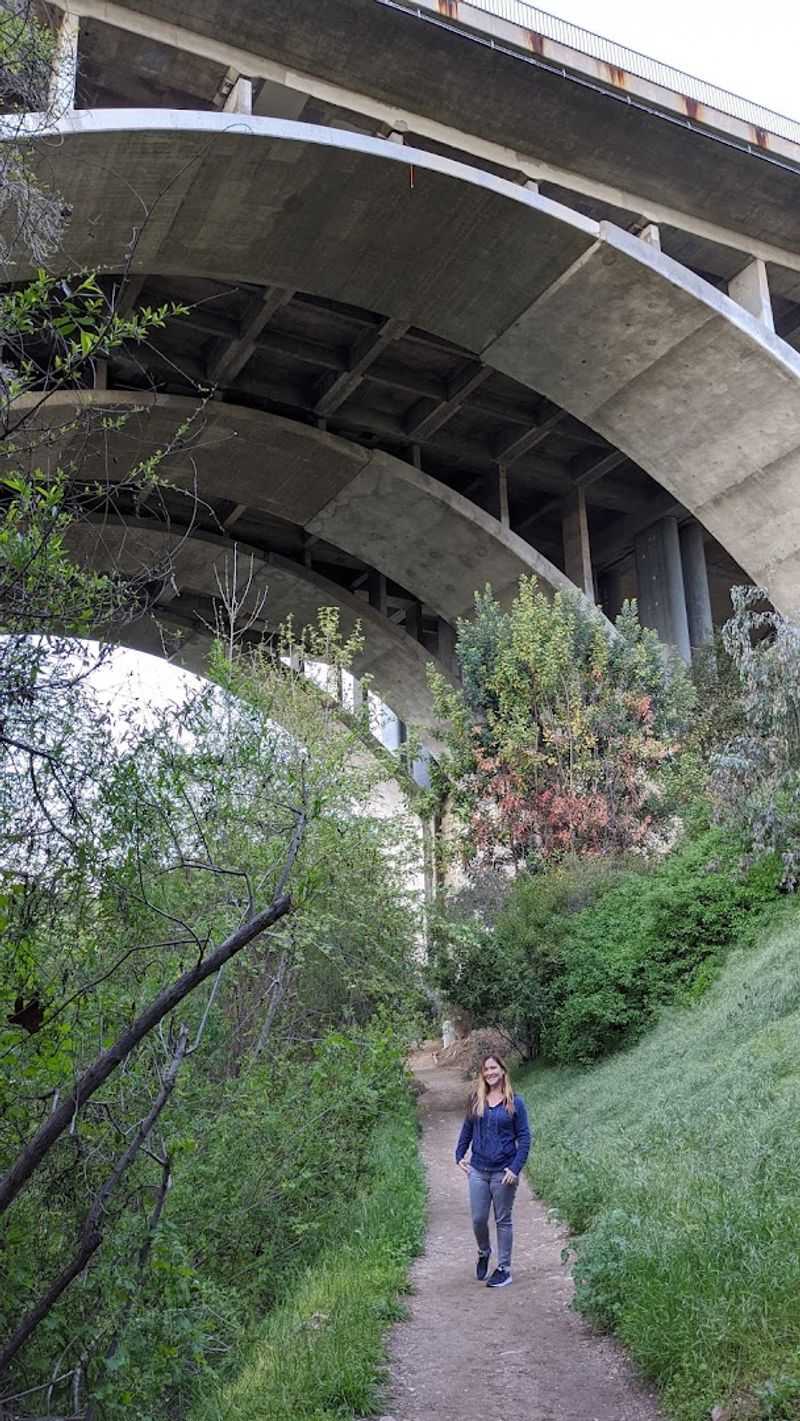 The View From Below: Why Desiderio Park Offers the Best Perspective