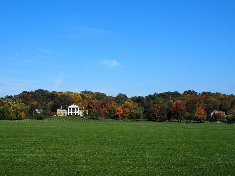 The Village Green That Anchors It All