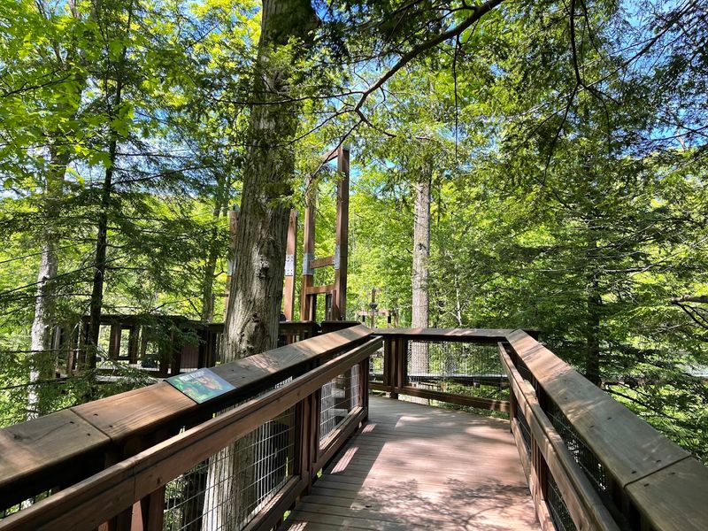 The Visitor Center: Your Perfect Starting Point